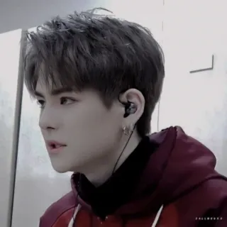 🐯 93e1378c whatsapp sticker