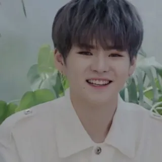 🐯 dafd7382 whatsapp sticker