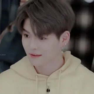 🐯 ed44a7bf whatsapp sticker