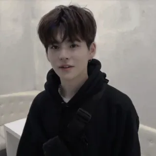 🐯 f360cc04 whatsapp sticker