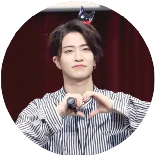 ♥️ 200915f6 K-pop, сердце, певец, знаменитость, айдол, развлечения telegram sticker