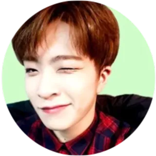 😉 2b9c80f9 человек, портрет, мужчина, красная фланель, подмигивающий, азиат telegram sticker