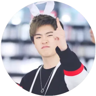 👆 8470713f человек, заячьи ушки, мужчина, портрет, милый telegram sticker