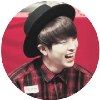 🤠 f1bb4283 사랑하자 мужчина, шляпа, клетчатая рубашка, улыбается, корейский telegram sticker