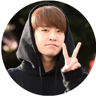 ✌️ fb31e14c Человек, Толстовка, Знак мира, Повседневный, Улыбающийся telegram sticker