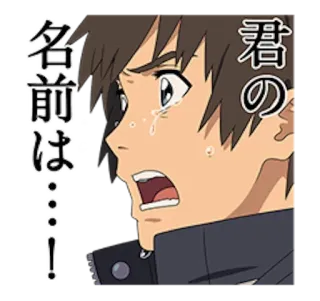 Your Name • @AnimeCrunch_Stickers whatsapp stickers