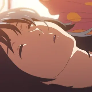 🍣 91896f4c Anime, dziewczyna, śpiąca, zrelaksowana, spokojna, cicha telegram sticker