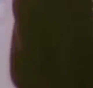 ✅ 97650433 telegram sticker