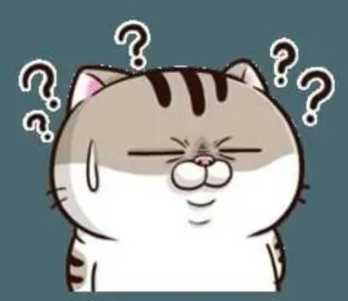 🧐 00d4ac0c 猫, 質問, 困惑, かわいい, ステッカー, 動物, 不安 telegram sticker