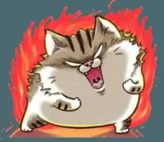 😡 6d11702f 猫, 怒り, 漫画, ミーム, 面白い, 動物 telegram sticker