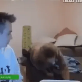 🌟 2166b44b telegram sticker