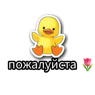 😇 b3e44488 пожалуйста Ente, süß, Tulpe, bitte, Vogel telegram sticker