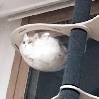 YUMEMOOD telegram stickers