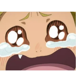 😭 54250ccd whatsapp sticker