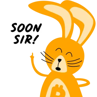 🔜 715f8801 SOON SIR! bunny, bitcoin, crypto, soon, cartoon, animal, digital currency telegram sticker