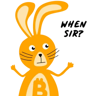 🙁 ce5435a8 WHEN SIR? rabbit, bitcoin, crypto, question, waiting, meme, when telegram sticker