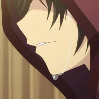 🥀 48b2a4de llorando, triste, anime, lágrimas, emoción, capucha telegram sticker