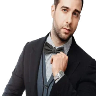 🤵 37079a56 mężczyzna, strój formalny, garnitur, muszka, portret telegram sticker