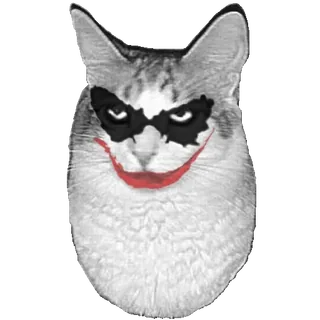 😼 764655f3 Joker Batman Katze, Joker, Batman, DC Comics, Bösewicht, Lustig, Meme telegram sticker