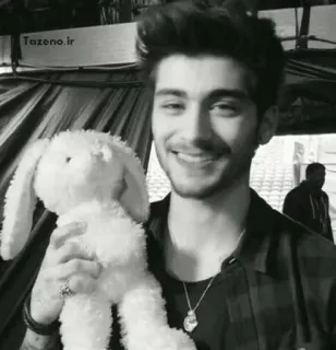 🖇 62edd79d Zayn Malik celebrity, singer, portrait, zayn malik, stuffed animal, smile telegram sticker