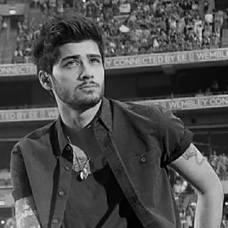 🖇 c553260c Zayn Malik musician, singer, celebrity, portrait, person, one direction telegram sticker