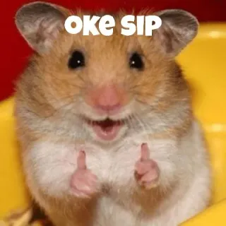 ❤️ 36ed9c56 oke SIP hamster, binatang, imut, oke, menyeruput, jempol ke atas telegram sticker