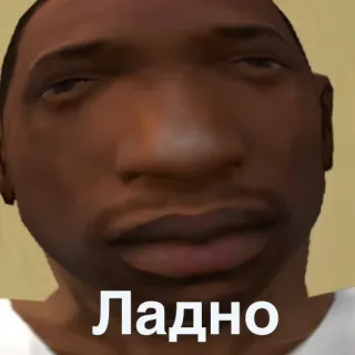🙃 7c72bd1b Carl Johnson Grand Theft Auto: San Andreas Ладно CJ, Карл Джонсон, GTA, San Andreas, Мем telegram sticker