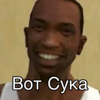 🤬 90ae5bd5 Вот Сука русский мат, текст, лицо telegram sticker