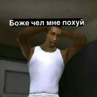 🤬 dbc465d7 Боже чел мне похуй мем, gta, carl johnson, cj, бог, мне все равно telegram sticker