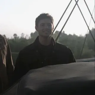 🅿 721321df telegram sticker