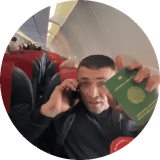 🌟 e293d1eb 남자, 여권, 전화, 비행기, 여행 telegram sticker