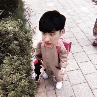 🕸 148b117c telegram sticker