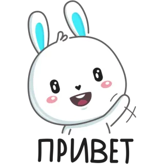 👋 c142f34f kelinci, bunny, kartun, lucu, binatang telegram sticker