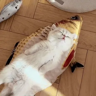 😎 33bb2d38 猫, 子猫, 睡眠, 魚, 動物, ペット, かわいい telegram sticker