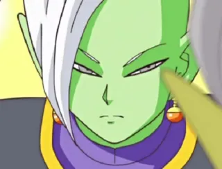 😑 01e92de9 Zamasu Dragon Ball Anime, Dragon Ball, Zamasu, Cattivo, Verde, Serio telegram sticker