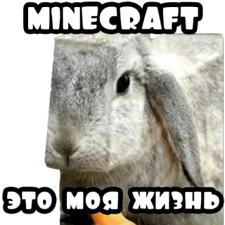 🎲 26bb8879 Minecraft MINECRAFT
ЭТО МОЯ ЖИЗНЬ Minecraft, kelinci, wortel, permainan video, kelinci, permainan whatsapp sticker