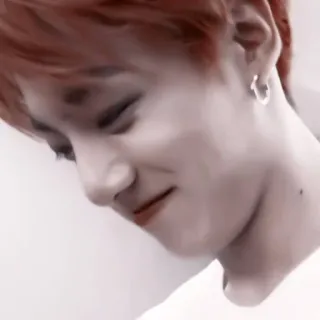 🐰 1284ac65 telegram sticker