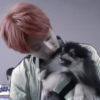 💗 d554beb0 Don't give up chien, animal de compagnie, mignon, personne, animal, ami, message positif telegram sticker