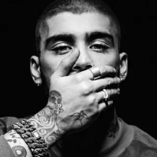 🖤 130c37aa Zayn Malik zayn, penyanyi, selebriti, potret, pria, tato, hitam putih telegram sticker