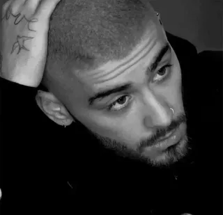 🖤 48ae7988 Zayn Malik penyanyi, potret, selebriti, hitam putih, pria, pria telegram sticker