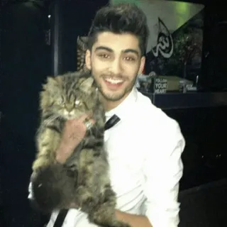 Zayn malik *-*❤ whatsapp stickers