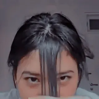 🦖 9cf4f8d9 telegram sticker