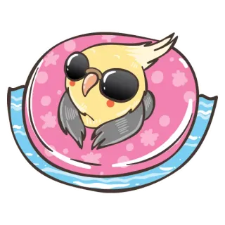 🌊 31df484e птица, корелла, солнцезащитные очки, надувной матрас, лето, милый telegram sticker