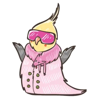 😎 489f4cb9 птица, корелла, очки, шуба, животное, розовый, мультик, смешной telegram sticker