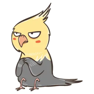 😑 8a04b779 птица, корелла, ворчливый, милый, животное, мультфильм telegram sticker