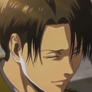 ☺️ fda057bc Levi Ackerman Attack on Titan Аниме, Манга, Персонаж, Леви, Аккерман, Атака титанов, Солдат whatsapp sticker