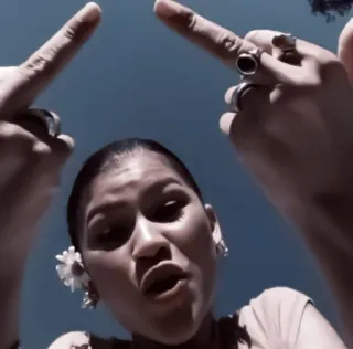 🏐 8613dad1 doigt d'honneur, offensant, geste telegram sticker