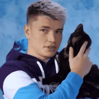 🐈 9d1ce43e persona, gato, retrato, animal, hombre, mascota telegram sticker