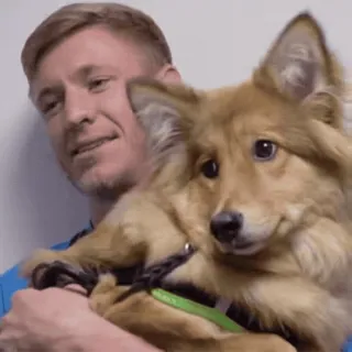 Zenit telegram stickers