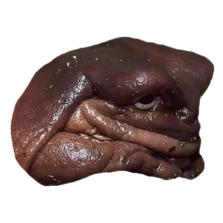 😳 2f379d1e 生物, 怪物, 不明, 恐怖 whatsapp sticker